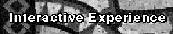 Interactive Experience
